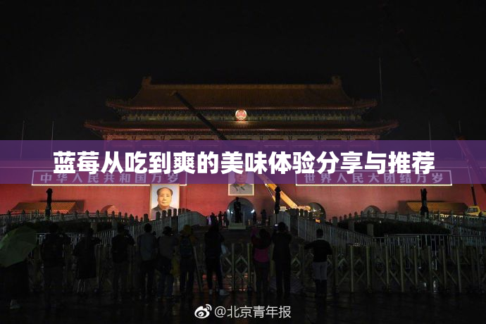 蓝莓从吃到爽的美味体验分享与推荐