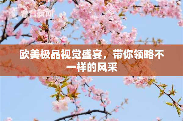 欧美极品视觉盛宴，带你领略不一样的风采