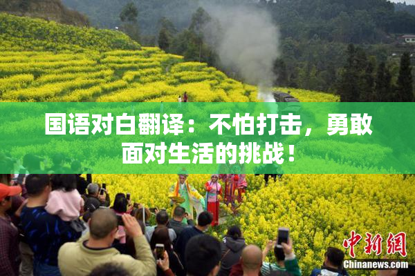 国语对白翻译：不怕打击，勇敢面对生活的挑战！
