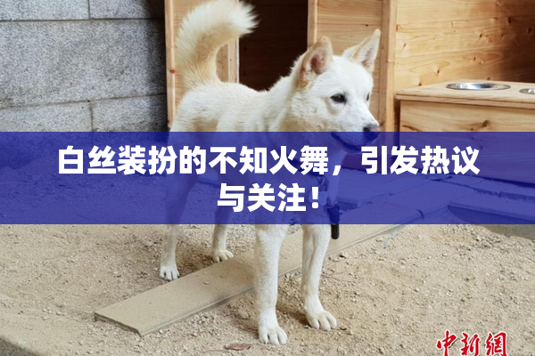 白丝装扮的不知火舞，引发热议与关注！