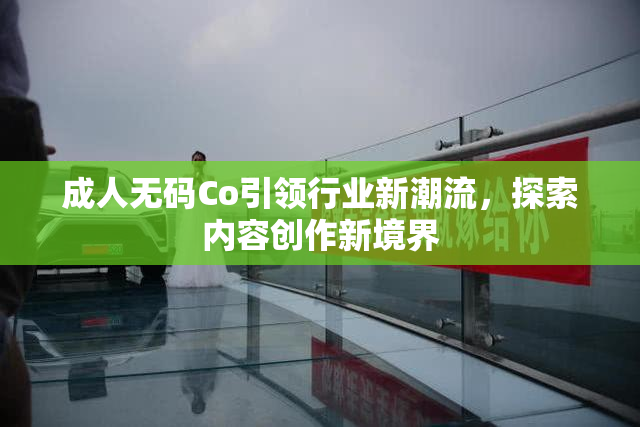 成人无码Co引领行业新潮流，探索内容创作新境界