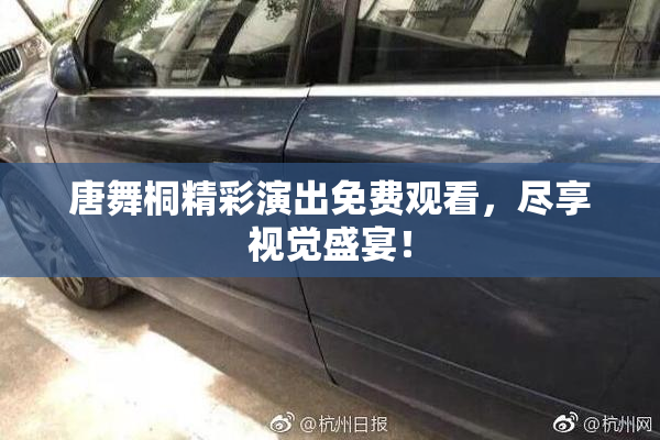 唐舞桐精彩演出免费观看，尽享视觉盛宴！