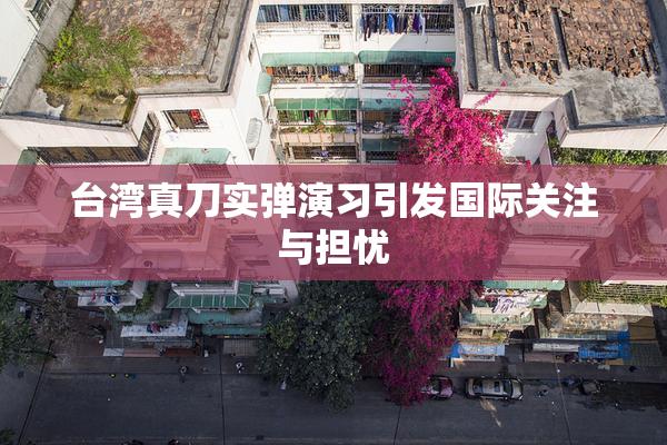 台湾真刀实弹演习引发国际关注与担忧