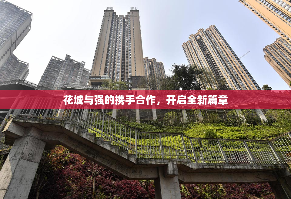花城与强的携手合作，开启全新篇章
