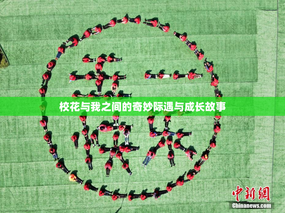 校花与我之间的奇妙际遇与成长故事