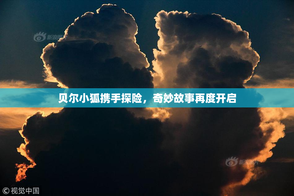 贝尔小狐携手探险，奇妙故事再度开启