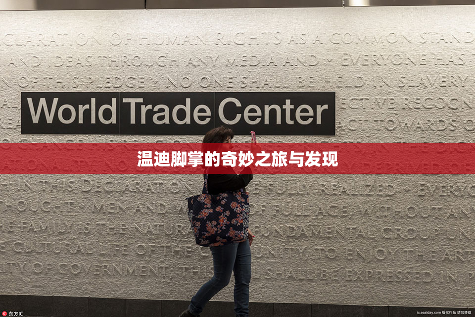 温迪脚掌的奇妙之旅与发现