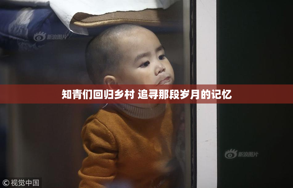 知青们回归乡村 追寻那段岁月的记忆