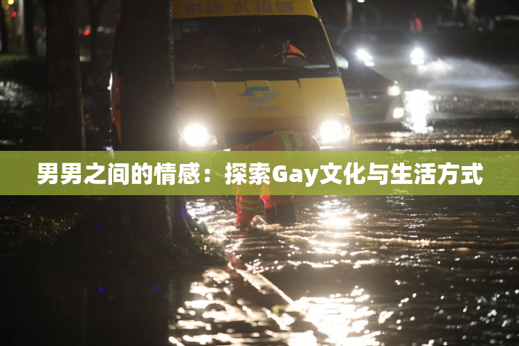 男男之间的情感：探索Gay文化与生活方式