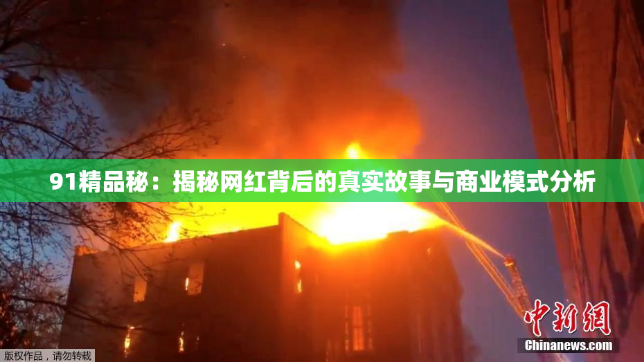 91精品秘：揭秘网红背后的真实故事与商业模式分析