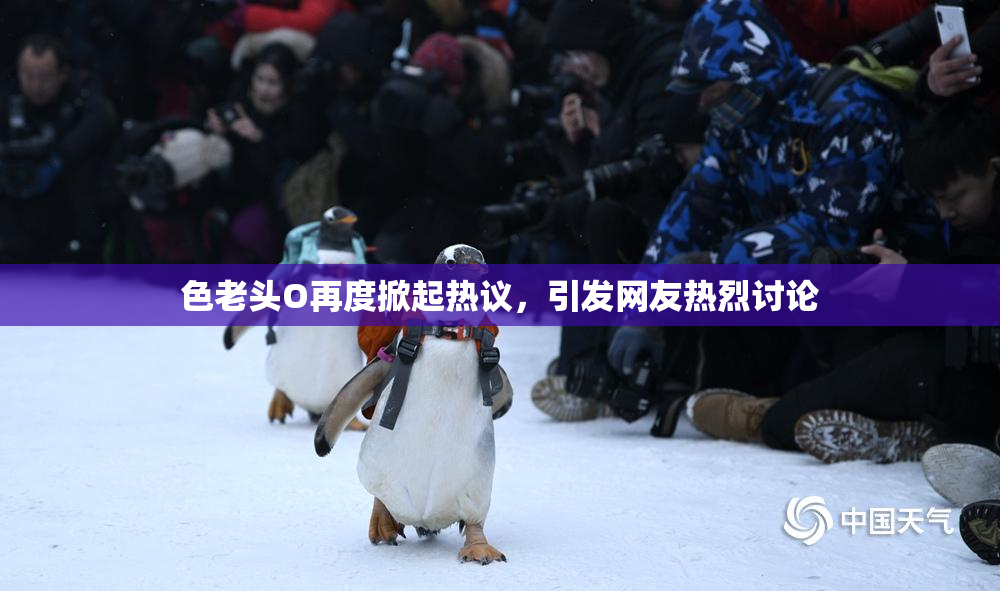 色老头O再度掀起热议，引发网友热烈讨论