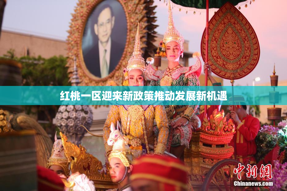 红桃一区迎来新政策推动发展新机遇