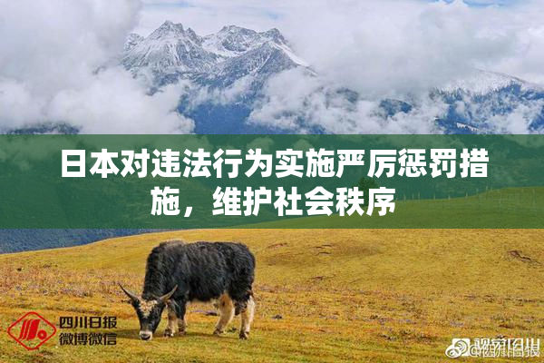 日本对违法行为实施严厉惩罚措施，维护社会秩序