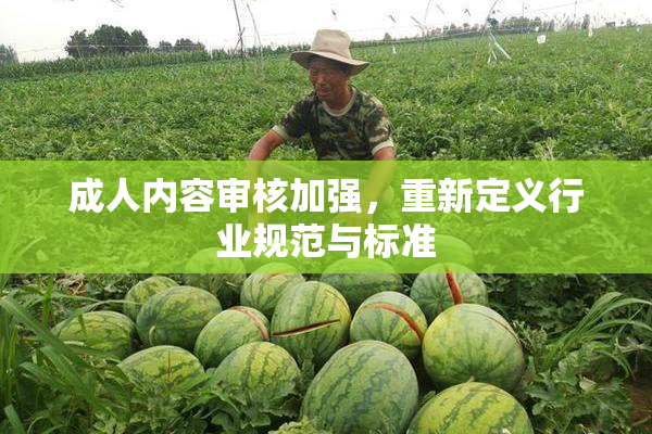 成人内容审核加强，重新定义行业规范与标准