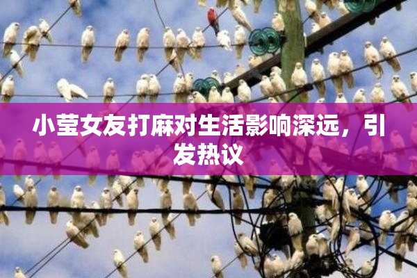 小莹女友打麻对生活影响深远，引发热议