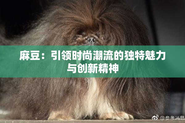 麻豆：引领时尚潮流的独特魅力与创新精神