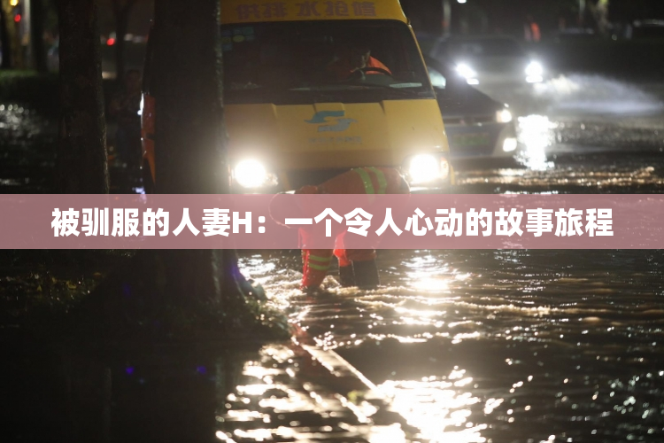 被驯服的人妻H：一个令人心动的故事旅程