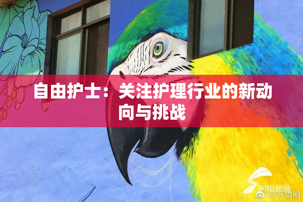自由护士：关注护理行业的新动向与挑战