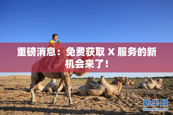 重磅消息：免费获取 X 服务的新机会来了！