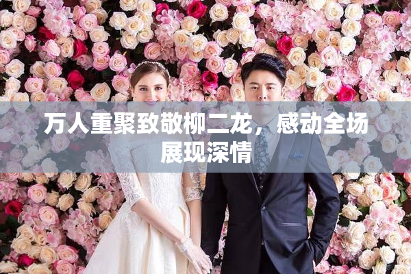 万人重聚致敬柳二龙，感动全场展现深情