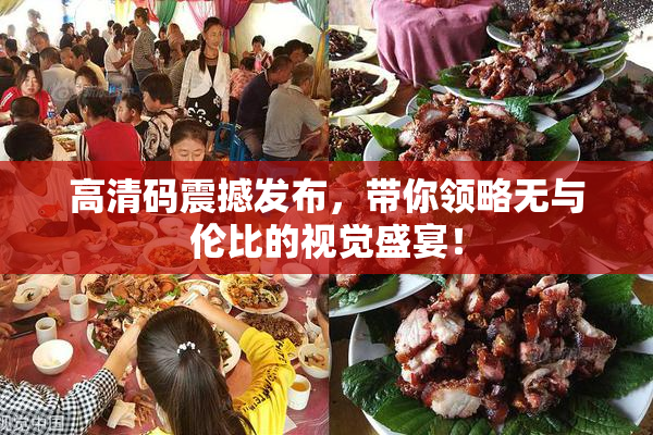 高清码震撼发布，带你领略无与伦比的视觉盛宴！