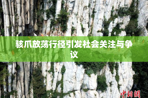 骇爪放荡行径引发社会关注与争议