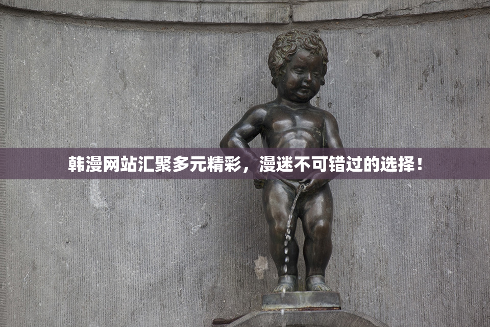 韩漫网站汇聚多元精彩，漫迷不可错过的选择！