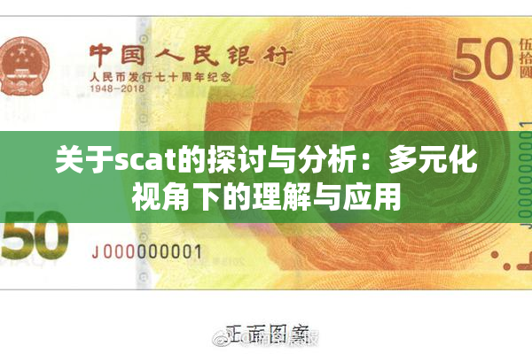 关于scat的探讨与分析：多元化视角下的理解与应用