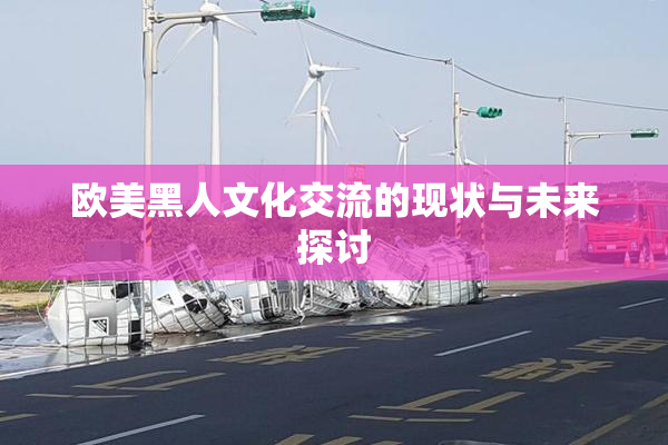 欧美黑人文化交流的现状与未来探讨