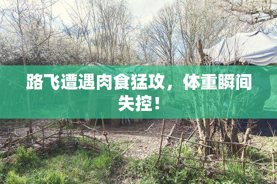 路飞遭遇肉食猛攻，体重瞬间失控！