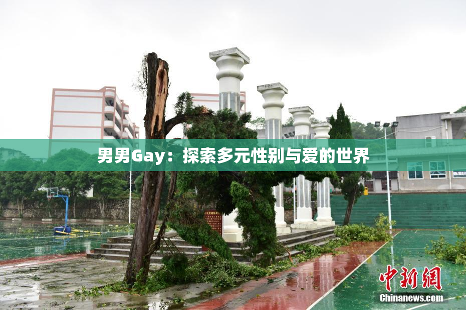 男男Gay：探索多元性别与爱的世界