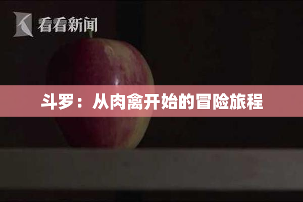 斗罗：从肉禽开始的冒险旅程