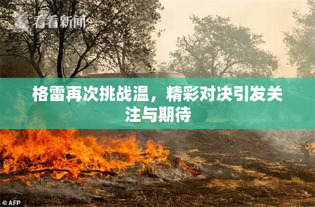 格雷再次挑战温，精彩对决引发关注与期待