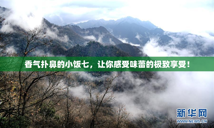 香气扑鼻的小饭七，让你感受味蕾的极致享受！