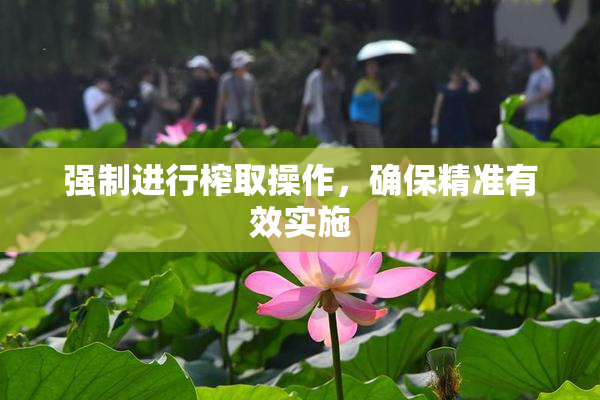 强制进行榨取操作，确保精准有效实施