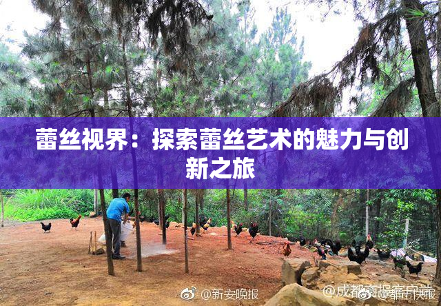 蕾丝视界：探索蕾丝艺术的魅力与创新之旅