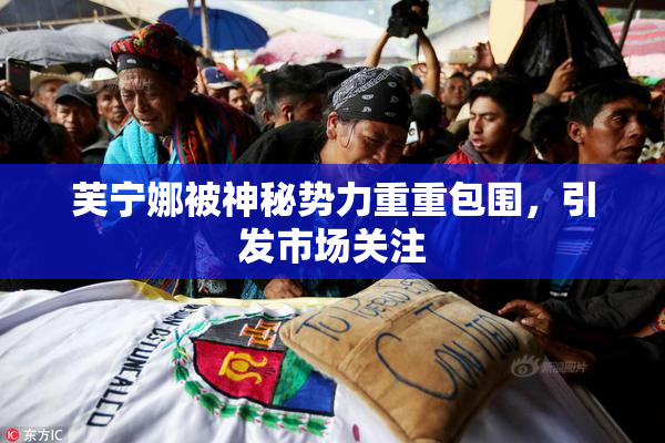 芙宁娜被神秘势力重重包围，引发市场关注