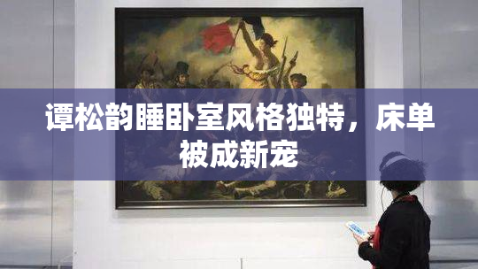 谭松韵睡卧室风格独特，床单被成新宠
