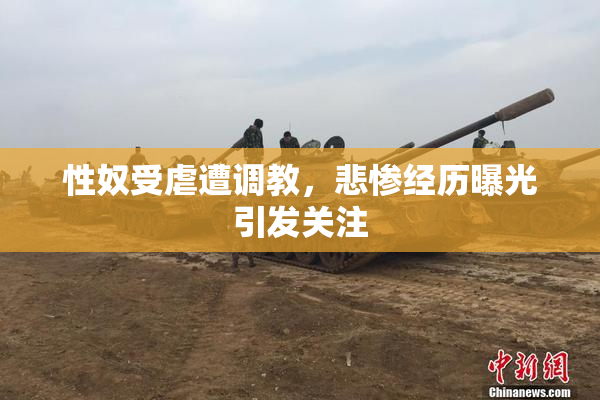 性奴受虐遭调教，悲惨经历曝光引发关注
