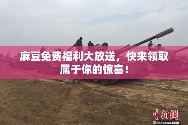 麻豆免费福利大放送，快来领取属于你的惊喜！