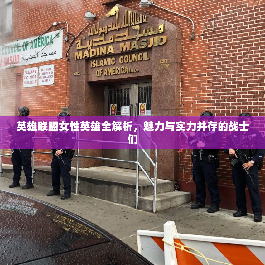 英雄联盟女性英雄全解析，魅力与实力并存的战士们