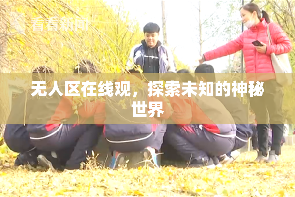 无人区在线观，探索未知的神秘世界