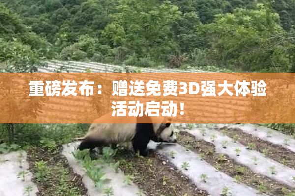 重磅发布：赠送免费3D强大体验活动启动！