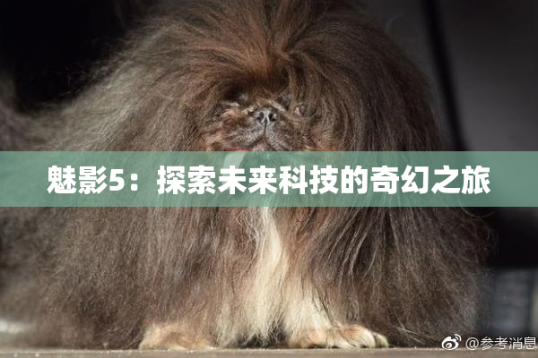 魅影5：探索未来科技的奇幻之旅