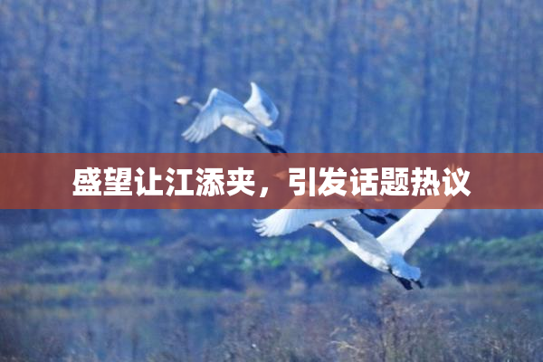 盛望让江添夹，引发话题热议