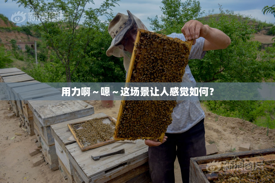 用力啊～嗯～这场景让人感觉如何？