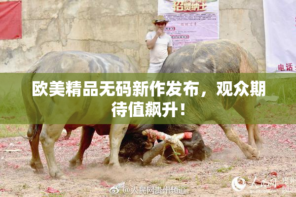 欧美精品无码新作发布，观众期待值飙升！