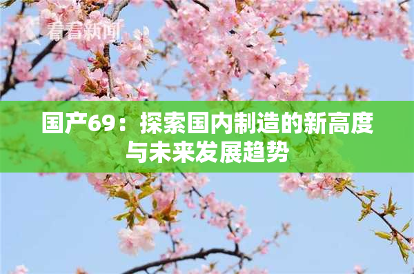 国产69：探索国内制造的新高度与未来发展趋势