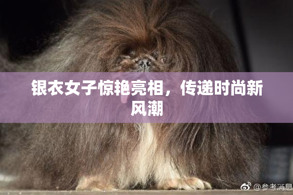 银衣女子惊艳亮相，传递时尚新风潮