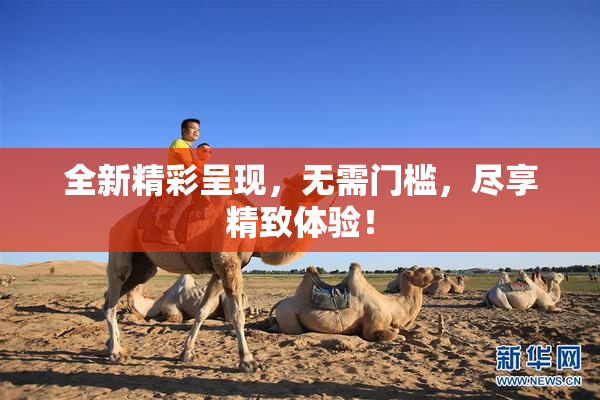 全新精彩呈现，无需门槛，尽享精致体验！